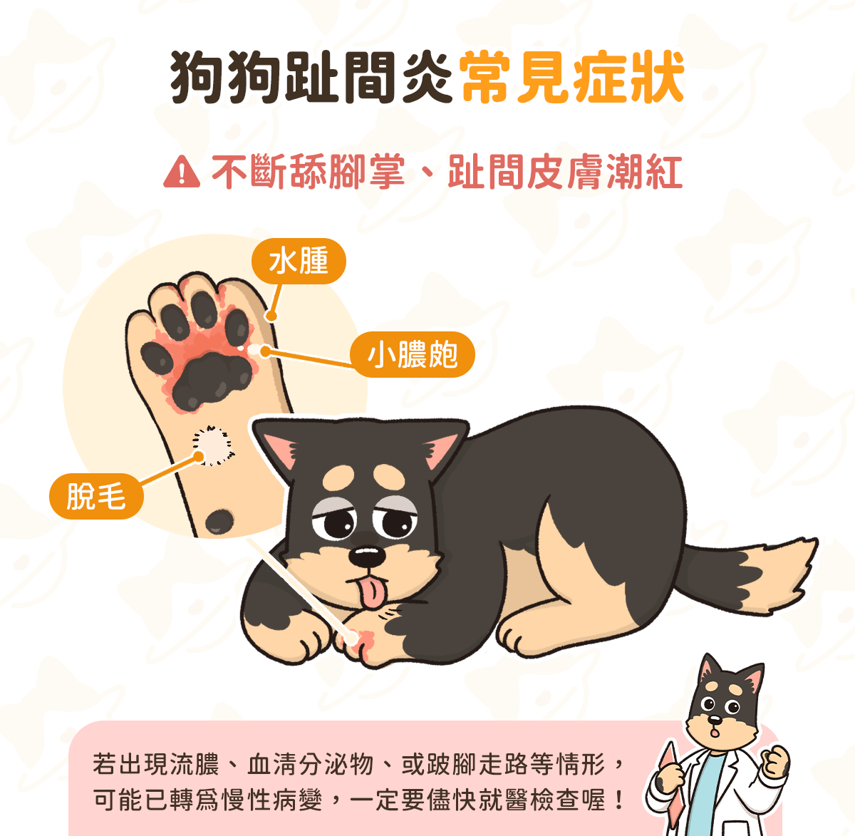 狗狗趾間炎 狗狗一直舔腳 狗趾間炎