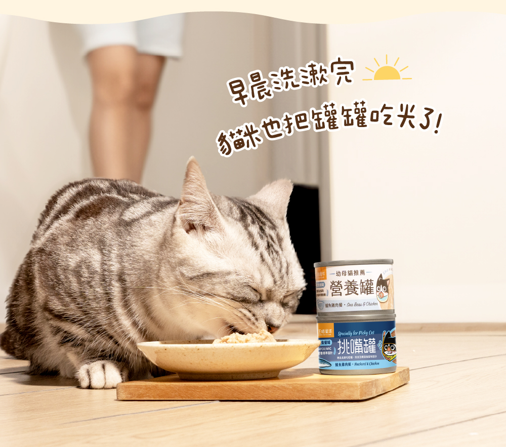 貓迷你罐 貓罐頭 貓主食罐 汪喵星球主食罐 貓罐頭推薦