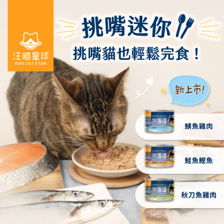 貓迷你罐 貓罐頭 貓主食罐 汪喵星球主食罐 貓罐頭推薦