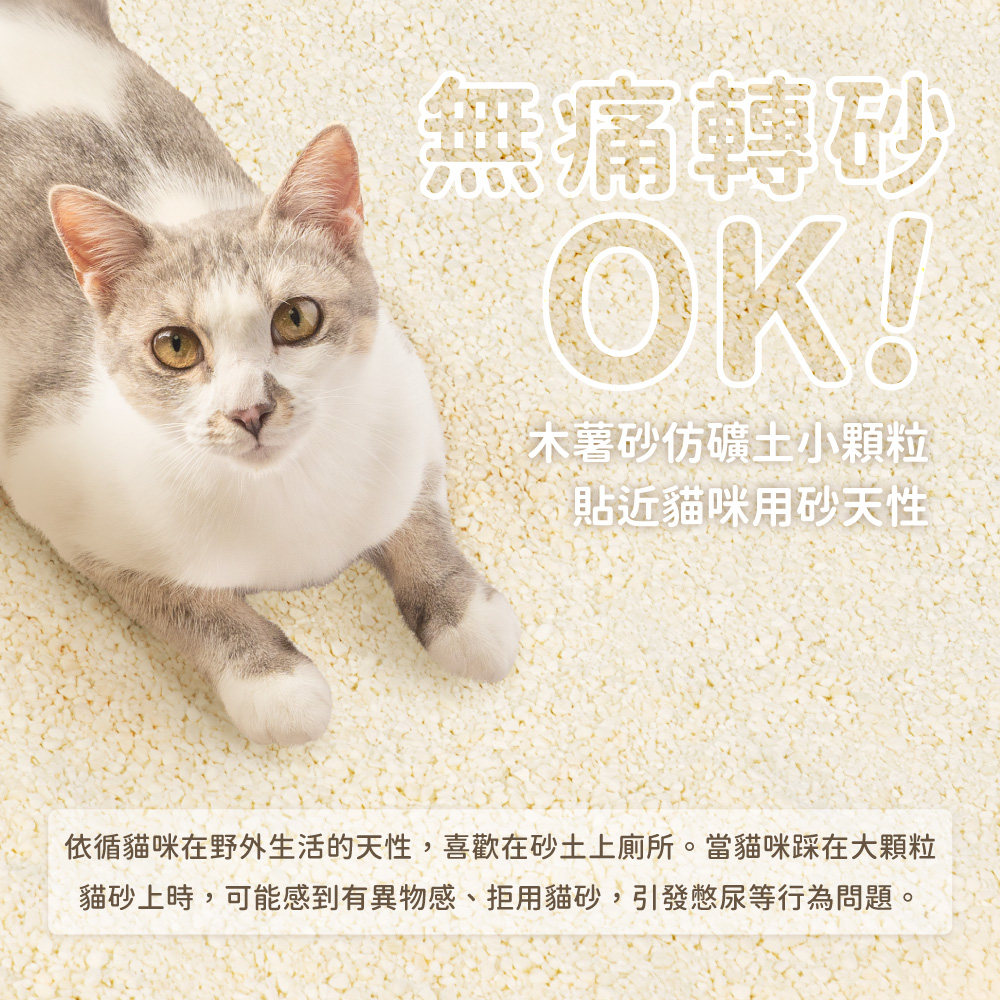 Cassava-Cat-Litter_NEW_SP_4