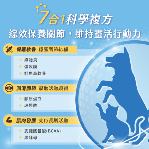 保健肉泥 貓咪肉泥 健康肉泥 天然肉泥 貓泥 機能肉泥