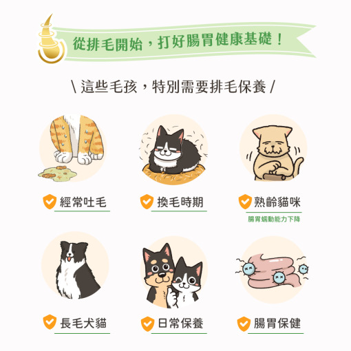 保健肉泥 貓咪肉泥 健康肉泥 天然肉泥 貓泥 機能肉泥