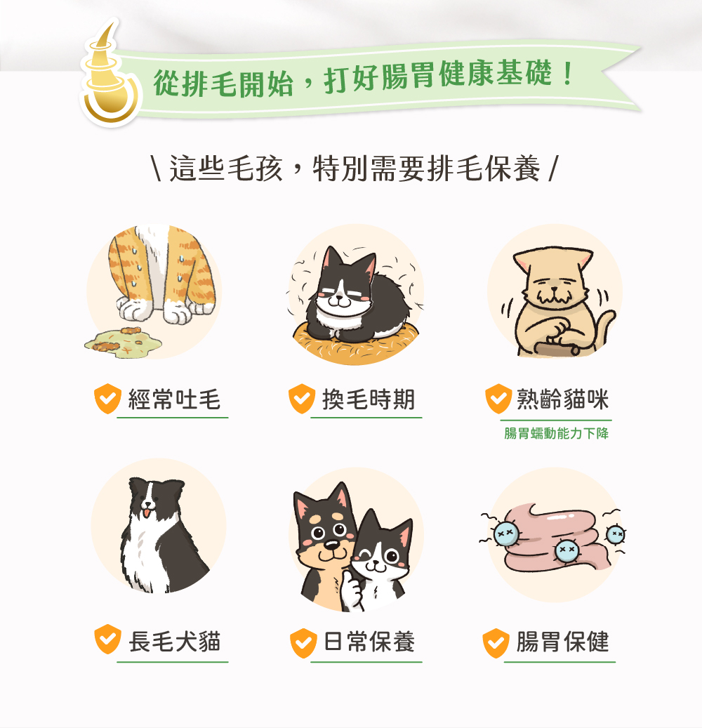 保健肉泥 貓咪肉泥 健康肉泥 天然肉泥 貓泥 機能肉泥