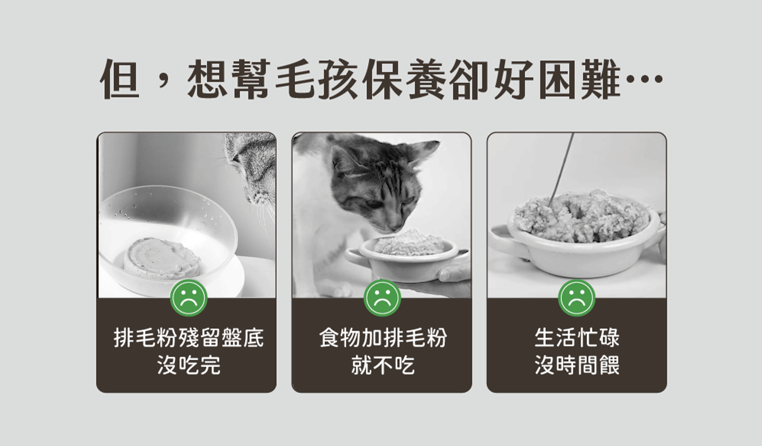 保健肉泥 貓咪肉泥 健康肉泥 天然肉泥 貓泥 機能肉泥