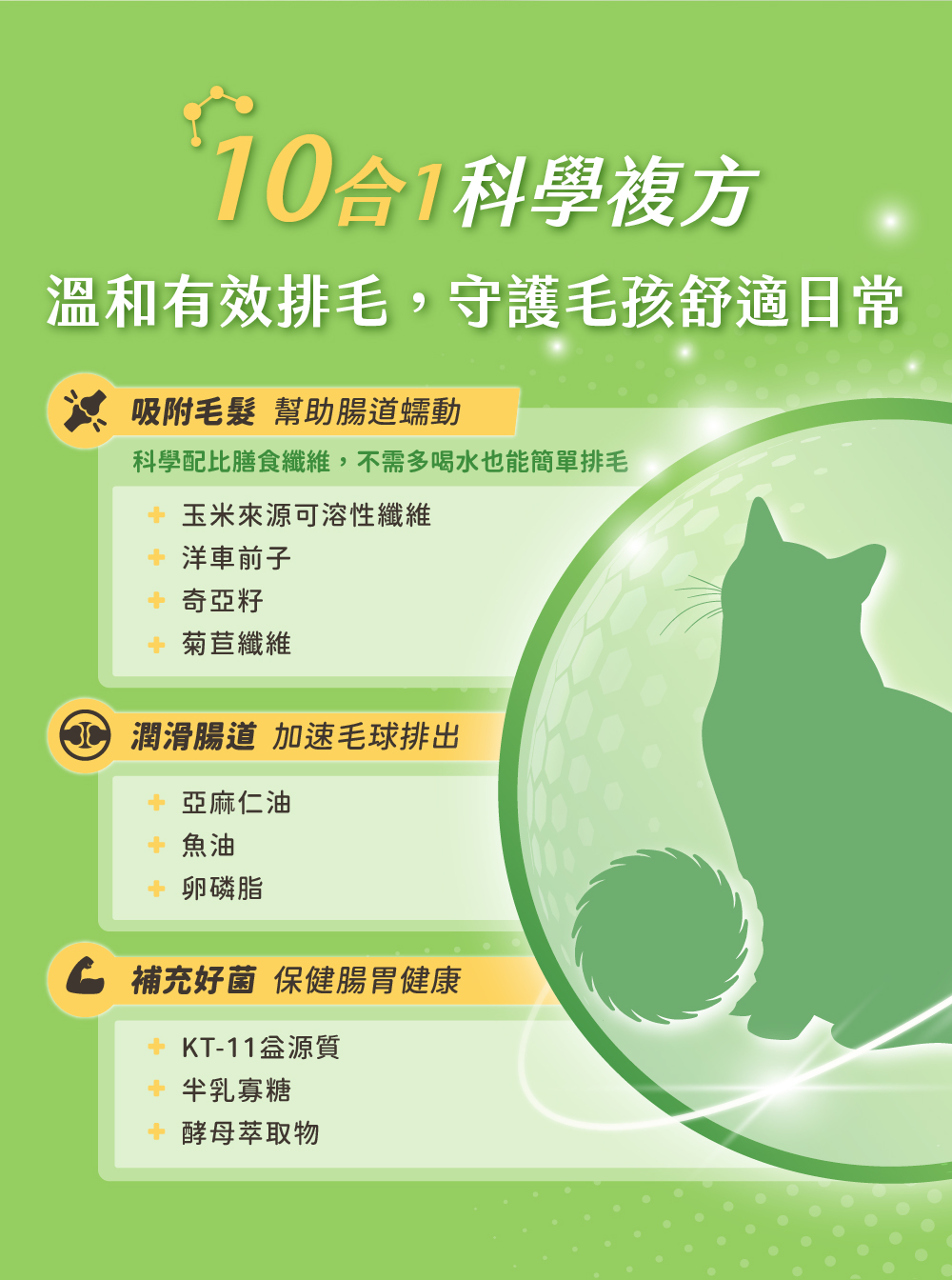 保健肉泥 貓咪肉泥 健康肉泥 天然肉泥 貓泥 機能肉泥