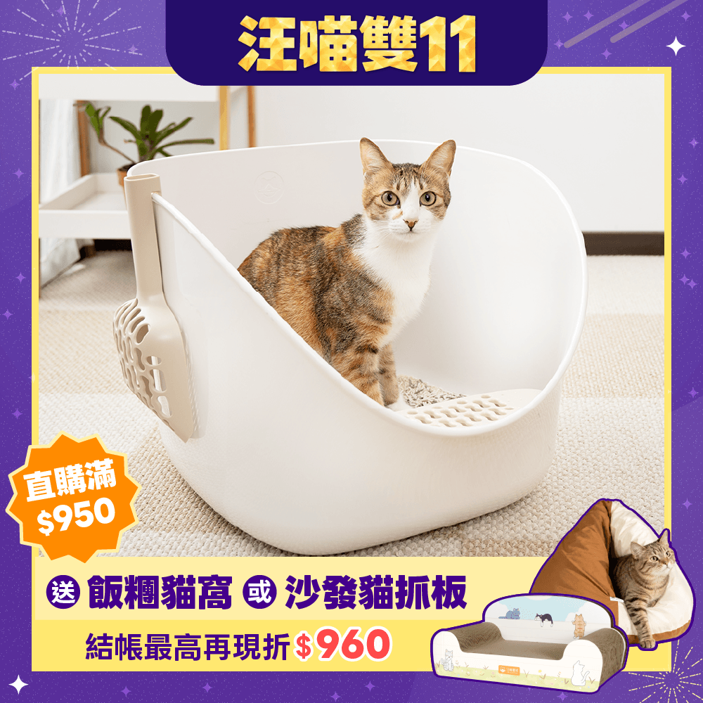 2026雙11產品圖_港澳_小白鯨