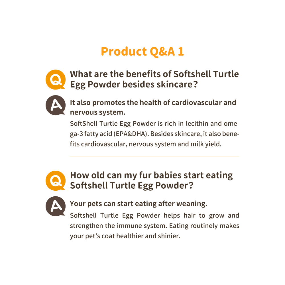 turtleegg_sgmy_SP_03