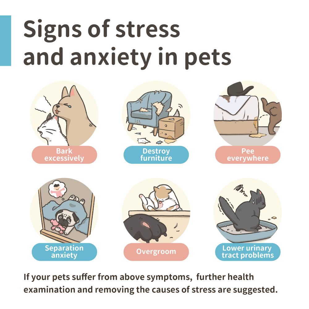 Stressrelief_sgmy_Shopee 01