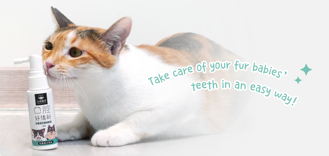 Take care of your fur babies’ teeth in an easy way!
